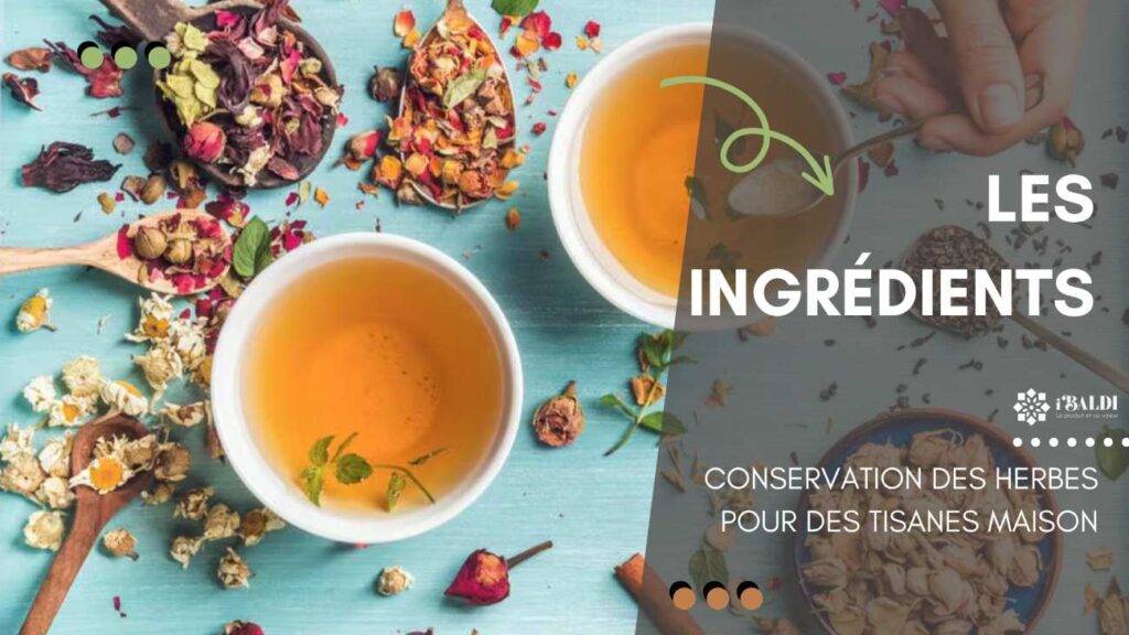Conservation des Herbes pour des Tisanes Maison 