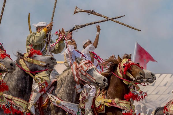 Votre porte d'entrée dans un monde où la tradition rencontre l'innovation