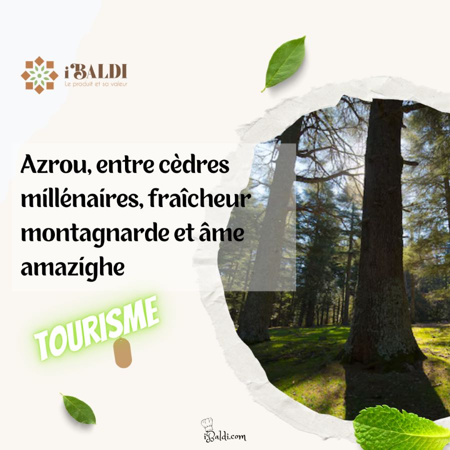 Azrou, entre cèdres millénaires, fraîcheur montagnarde et âme amazighe