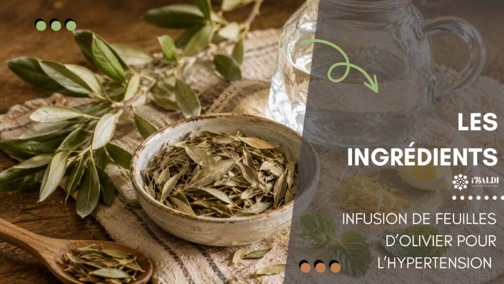 Infusion de feuilles d’olivier pour l’hypertension