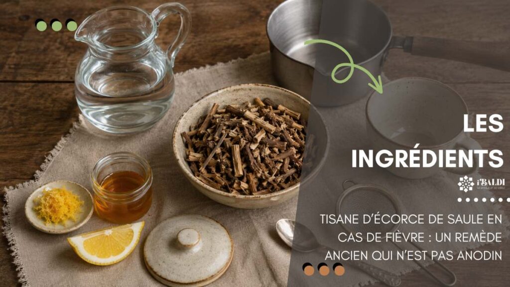 Tisane d’écorce de saule en cas de fièvre : un remède ancien qui n’est pas anodin