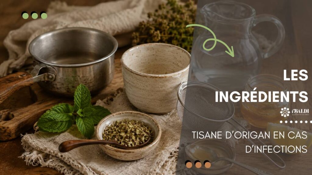 Tisane d’origan en cas d’infections respiratoires, urinaires ou digestives