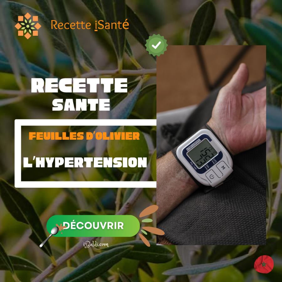 Infusion de feuilles d’olivier pour l’hypertension : ce qu’elle peut réellement apporter