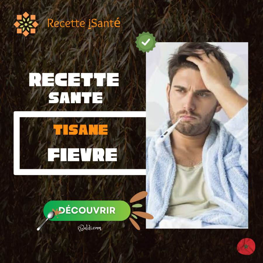 Tisane d’écorce de saule en cas de fièvre : un remède ancien qui n’est pas anodin