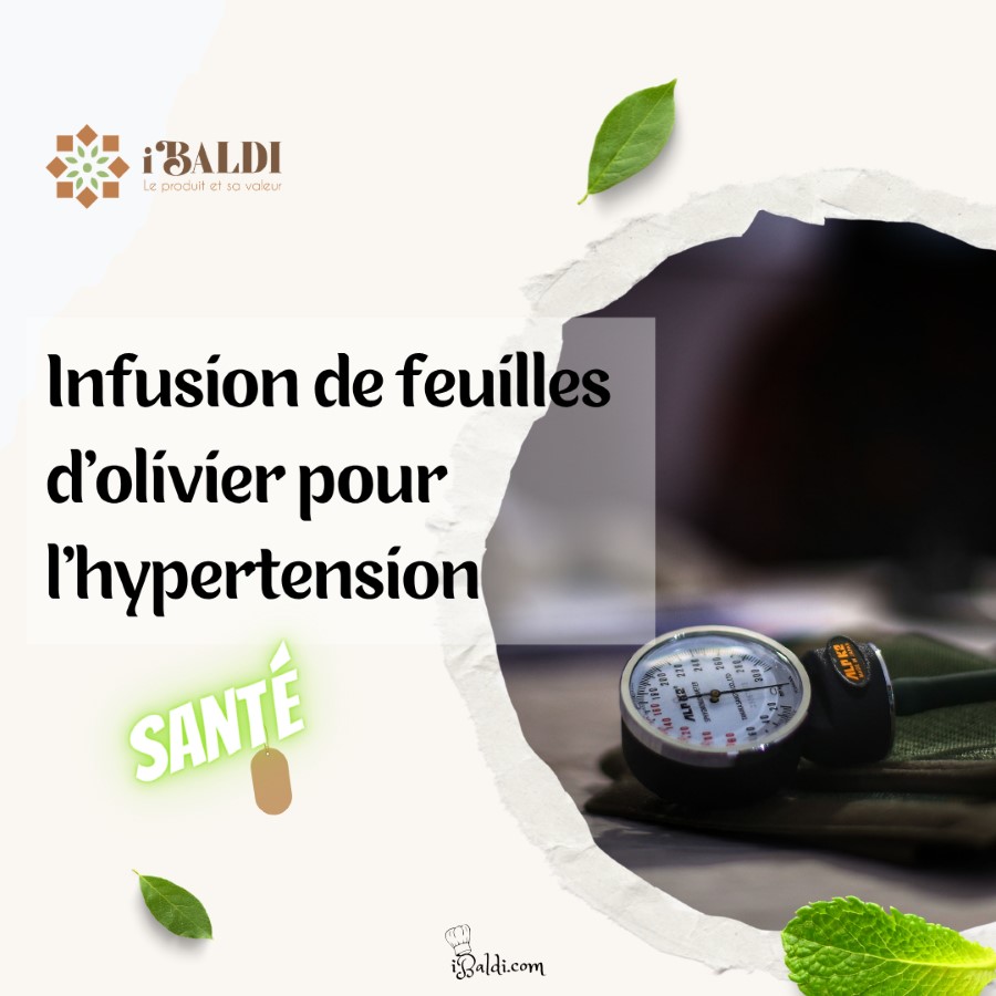 Infusion de feuilles d’olivier pour l’hypertension
