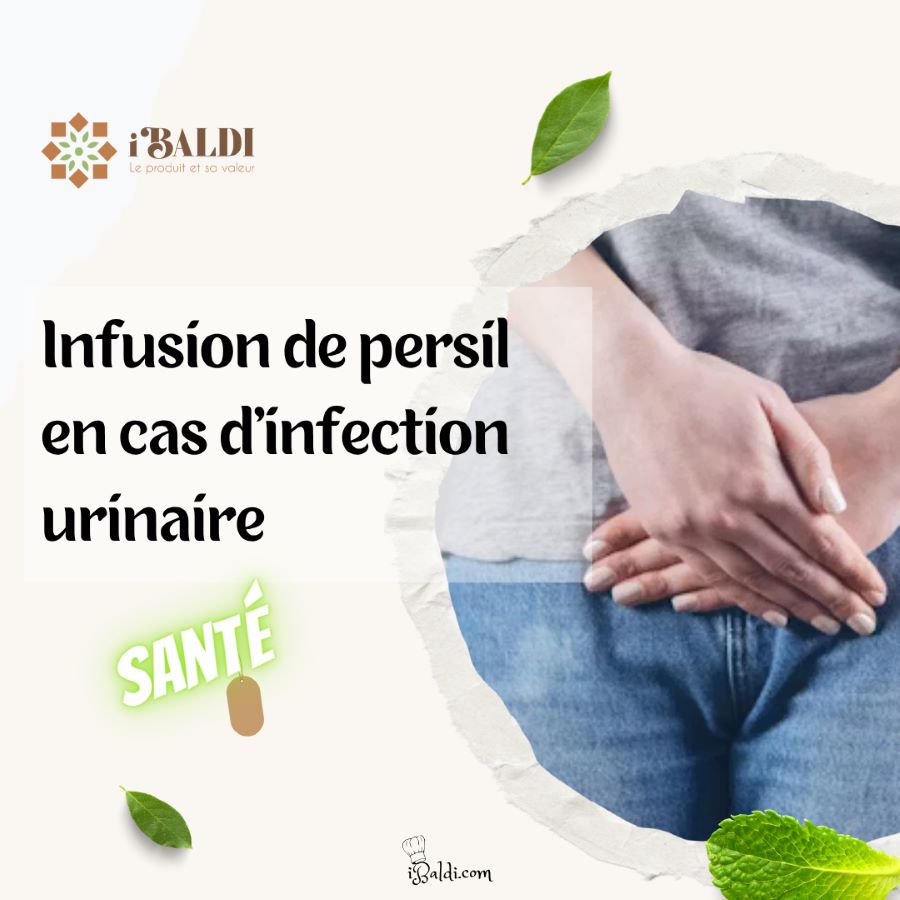 Infusion de persil en cas d’infection urinaire : ce qu’elle peut réellement apporter