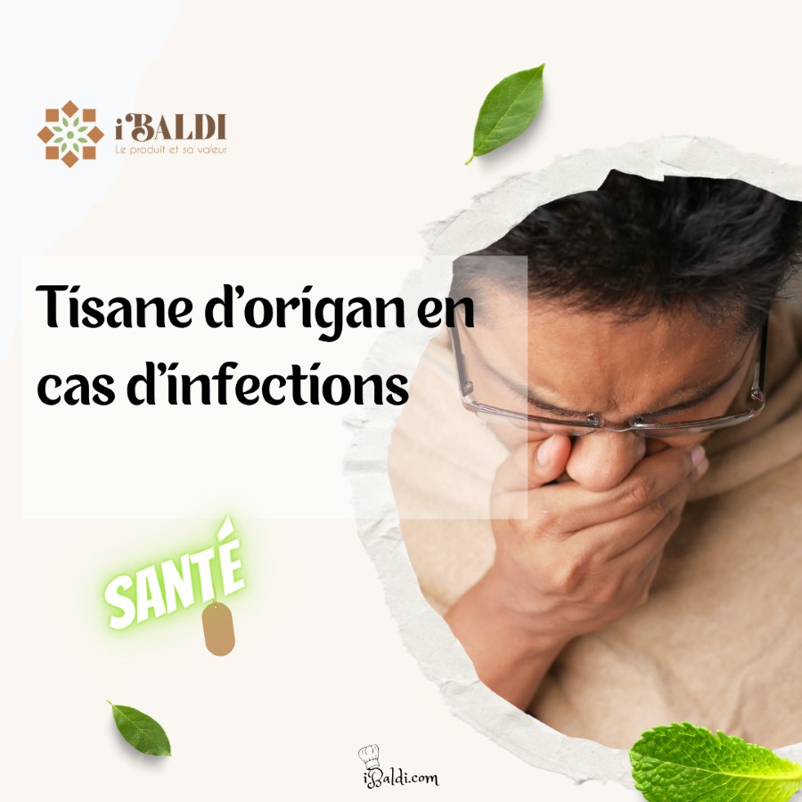 Tisane d’origan en cas d’infections respiratoires, urinaires ou digestives