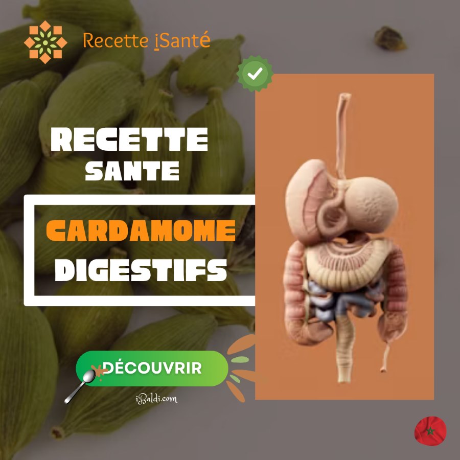 Infusion de cardamome pour les troubles digestifs : une tasse aromatique après les repas